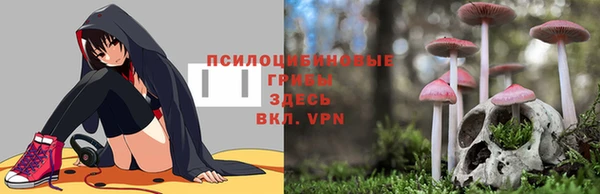 кокаин перу Михайлов