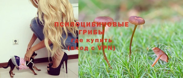 кокаин перу Михайлов
