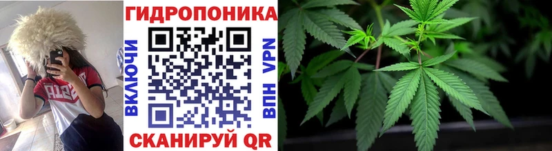 Каннабис AK-47  Тбилисская 